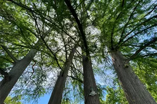 1317 E Zipp Rd, New Braunfels, TX 78130 - Photo 35