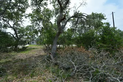 134 W Pat Dolan, Blanco, TX 78606 - Photo 3