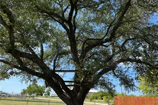 515 Bonita Vista Dr, Buda, TX 78610 - Photo 23