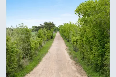 Tbd (+/- 25 Acres) County Road 433, Dime Box, TX 77853 - Photo 5