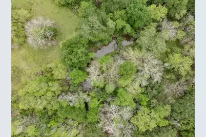 Tbd (+/- 25 Acres) County Road 433, Dime Box, TX 77853 - Photo 7