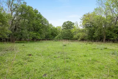 Tbd (+/- 25 Acres) County Road 433, Dime Box, TX 77853 - Photo 15
