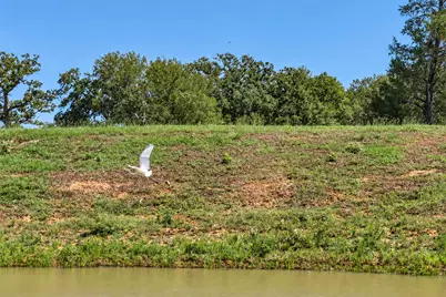 1208 Jeddo Road, Rosanky, TX 78953 - Photo 7