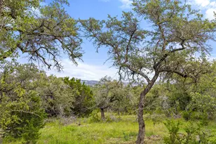31860 Mirela Ann Rd, Dripping Springs, TX 78620 - Photo 1