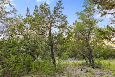 31860 Mirela Ann Road, Dripping Springs, TX 78620 - Photo 13