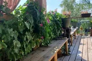 231 Winter St, Kyle, TX 78640 - Photo 33