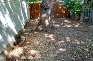 4500 Ave D Ave, Austin, TX 78751 - Photo 15