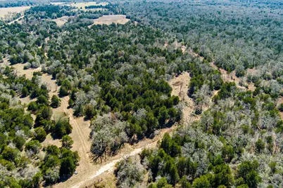 Tbd Edgewood Trail, Paige, TX 78659 - Photo 21