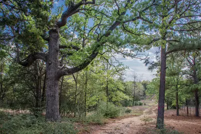 Tbd Edgewood Trail, Paige, TX 78659 - Photo 3