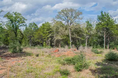 Tbd Edgewood Trail, Paige, TX 78659 - Photo 15