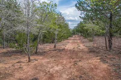 Tbd Edgewood Trail, Paige, TX 78659 - Photo 33