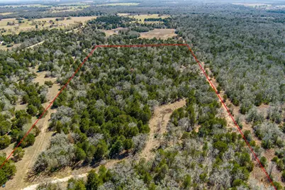 Tbd Edgewood Trail, Paige, TX 78659 - Photo 17