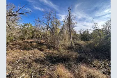 243 Hanauma Drive, Bastrop, TX 78602 - Photo 9