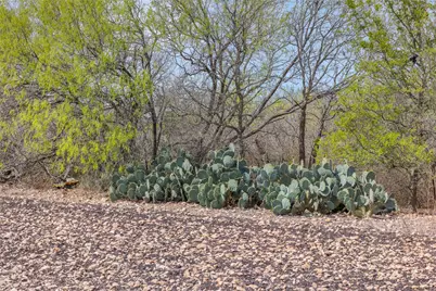 5340 Dreibrodt Street, San Marcos, TX 78666 - Photo 21
