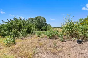 2529 Choctaw Pl, Leander, TX 78641 - Photo 31