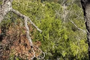 530 Lost Valley Rd, Dripping Springs, TX 78620 - Photo 1