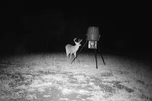 22303 Honeycomb Ln, Leander, TX 78641 - Photo 39