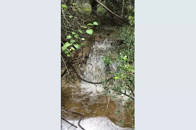 22303 Honeycomb Lane, Leander, TX 78641 - Photo 37