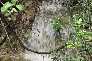 22303 Honeycomb Ln, Leander, TX 78641 - Photo 37