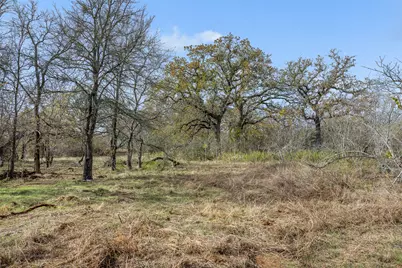 1088 Bugtussle Lane, Luling, TX 78648 - Photo 3