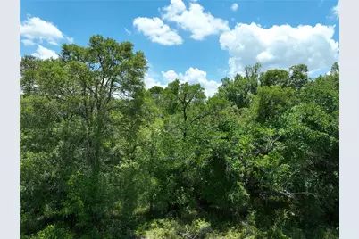Tbd Lot 4 Pettytown Road, Dale, TX 78616 - Photo 23