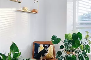 3604 Clawson Rd, Austin, TX 78704 - Photo 33