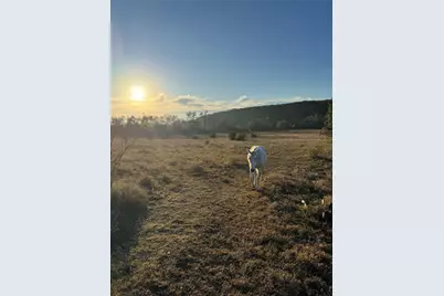 1441 Gatlin Creek Road, Dripping Springs, TX 78620 - Photo 9