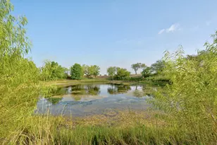 14512 Graef Rd, Creedmoor, TX 78610 - Photo 3