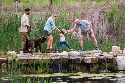 __ Prominence Road, Spicewood, TX 78669 - Photo 9