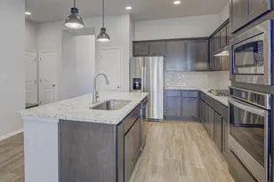 20308 Crested Caracara Ln, Pflugerville, TX 78660 - Photo 11