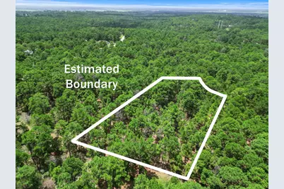 Lot 54 Akala Lane, Bastrop, TX 78602 - Photo 5