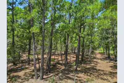 Lot 54 Akala Lane, Bastrop, TX 78602 - Photo 1