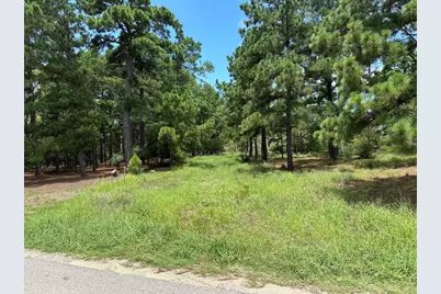 Lot 54 Akala Lane, Bastrop, TX 78602 - Photo 3
