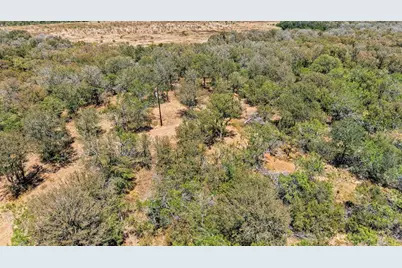 388 The Forest Road, Dale, TX 78616 - Photo 11