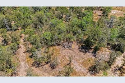 388 The Forest Road, Dale, TX 78616 - Photo 7