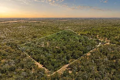 388 The Forest Road, Dale, TX 78616 - Photo 3