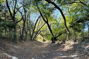 1220 E Fm 243 Road E, Bertram, TX 78605 - Photo 5