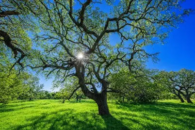 4772-2 County Road 340, Burnet, TX 76905 - Photo 7