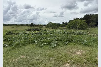 2990 S 304 Highway, Rosanky, TX 78953 - Photo 17