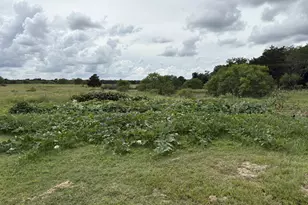 2990 S 304 Hwy, Rosanky, TX 78953 - Photo 17