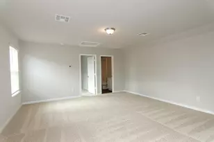 392 Fall Aster Dr, Kyle, TX 78640 - Photo 19