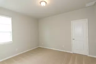 392 Fall Aster Dr, Kyle, TX 78640 - Photo 17