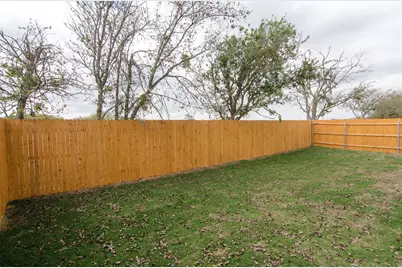 392 Fall Aster Drive, Kyle, TX 78640 - Photo 29