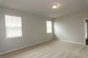 392 Fall Aster Dr, Kyle, TX 78640 - Photo 13