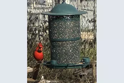 318 Clear Creek Drive, Burnet, TX 78611 - Photo 37