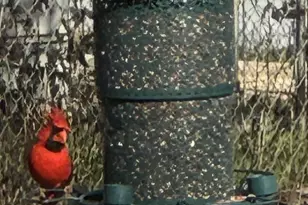 318 Clear Creek Dr, Burnet, TX 78611 - Photo 37