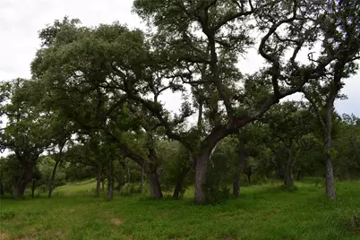 10430A Ranch Road 2341 Road #1, Burnet, TX 78611 - Photo 7