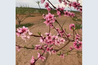 5386 Ranch Rd 1376 Road #278, Fredericksburg, TX 78624 - Photo 11