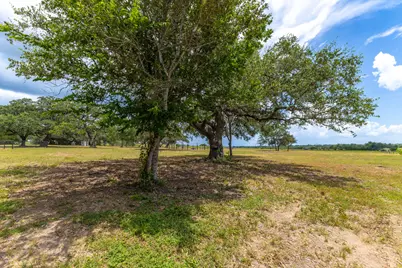 2160 (Tract #5) Baca Loop, Flatonia, TX 78941 - Photo 5