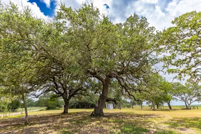 2160 (Tract #5) Baca Loop, Flatonia, TX 78941 - Photo 3